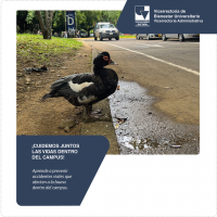 Cuidemos juntos las vidas dentro del campus